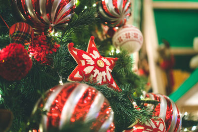 Close-up of christmas tree