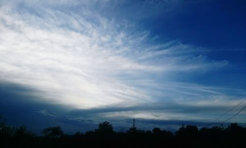 Low angle view of silhouette trees against blue sky