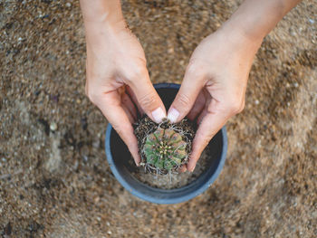 High angle view of human hand holding mud