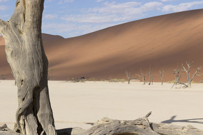 Scenic view of desert against sky