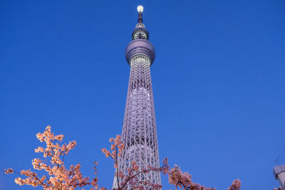 Low angle view of building against blue sky