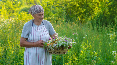 Rear view of woman standing amidst plants