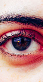 Close-up of human eye