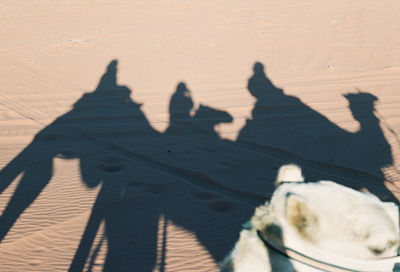 Shadow of people riding motorcycle on desert