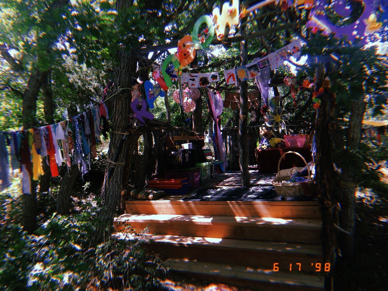 PLANTS HANGING IN PARK