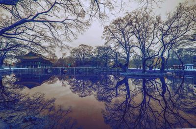 Reflection of trees in river