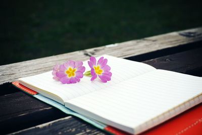 Close-up of flowers on table