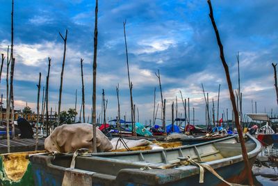 View of a boats in a row