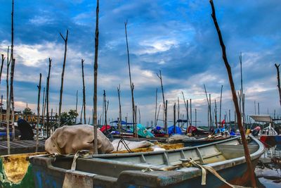 Boats moored at harbor