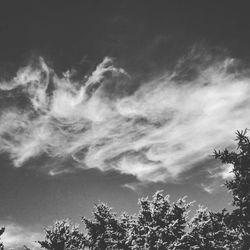 Low angle view of trees against sky