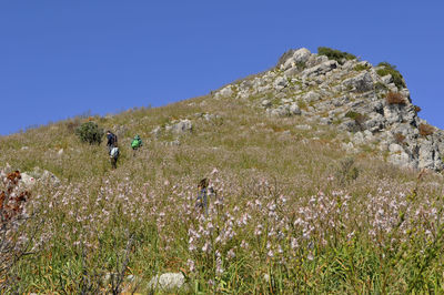 Scenic view of mountain against clear sky