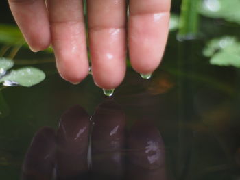 Close-up of hands holding water