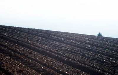 Scenic view of landscape against clear sky