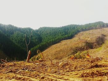 Scenic view of landscape against clear sky