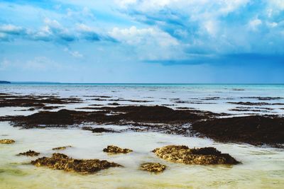 Scenic view of sea against sky