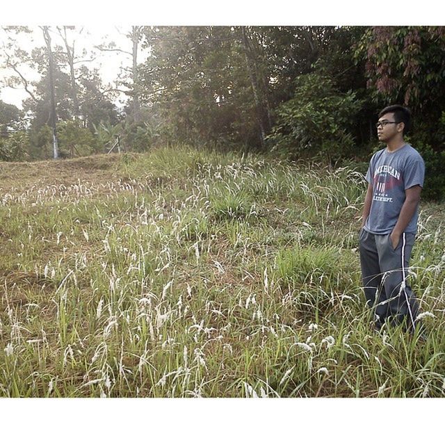 grass, lifestyles, leisure activity, casual clothing, field, grassy, growth, standing, tree, full length, plant, nature, tranquility, green color, men, rear view, childhood, landscape