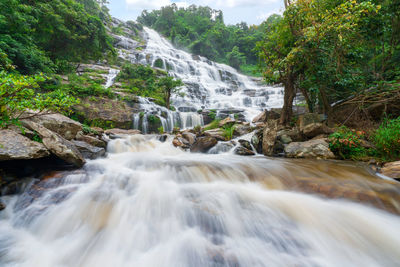 Scenic view of waterfall in forest