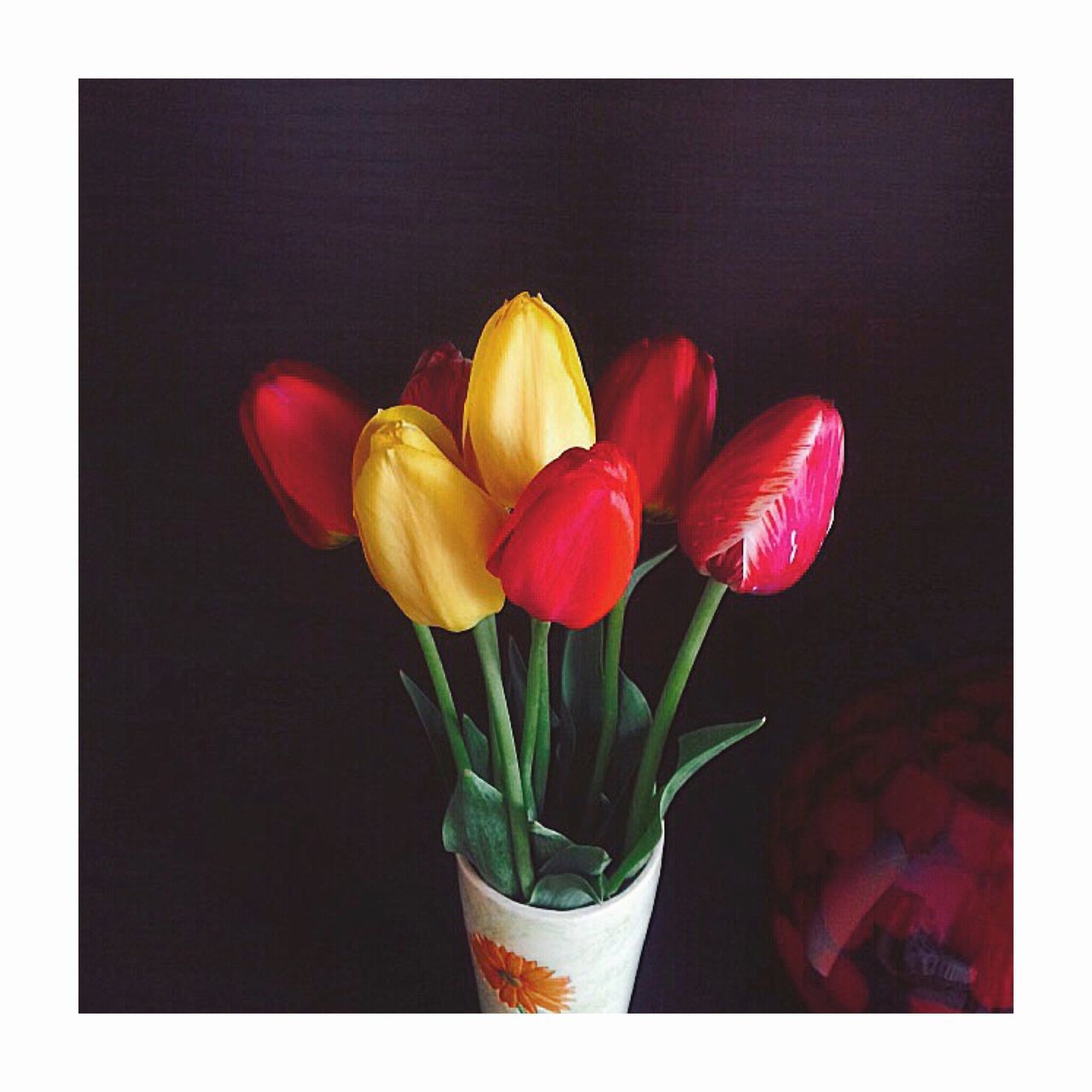 flower, freshness, petal, flower head, fragility, transfer print, close-up, indoors, auto post production filter, vase, growth, beauty in nature, plant, stem, table, nature, studio shot, tulip, still life, single flower