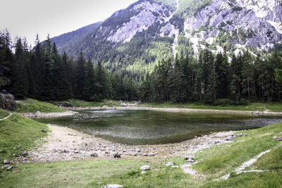 Scenic view of lake by trees against sky