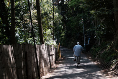 Rear view of man riding bicycle