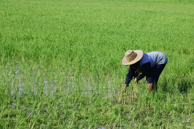 Man working on field