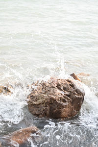 High angle view of rocks in sea