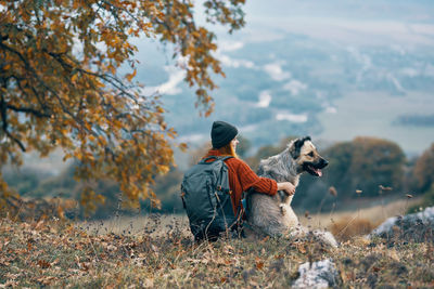 Dog on field during autumn