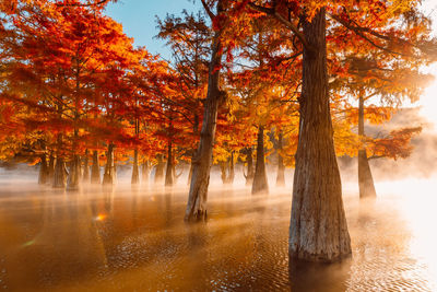 Scenic view of lake against sky during autumn