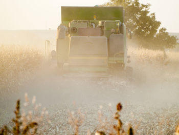 Scenic view of agricultural field