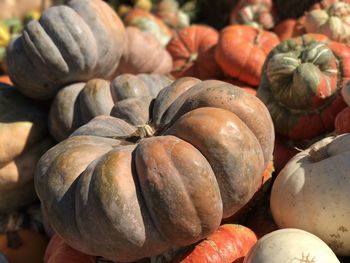 Close-up of pumpkins for sale at market