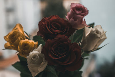 Close-up of rose bouquet