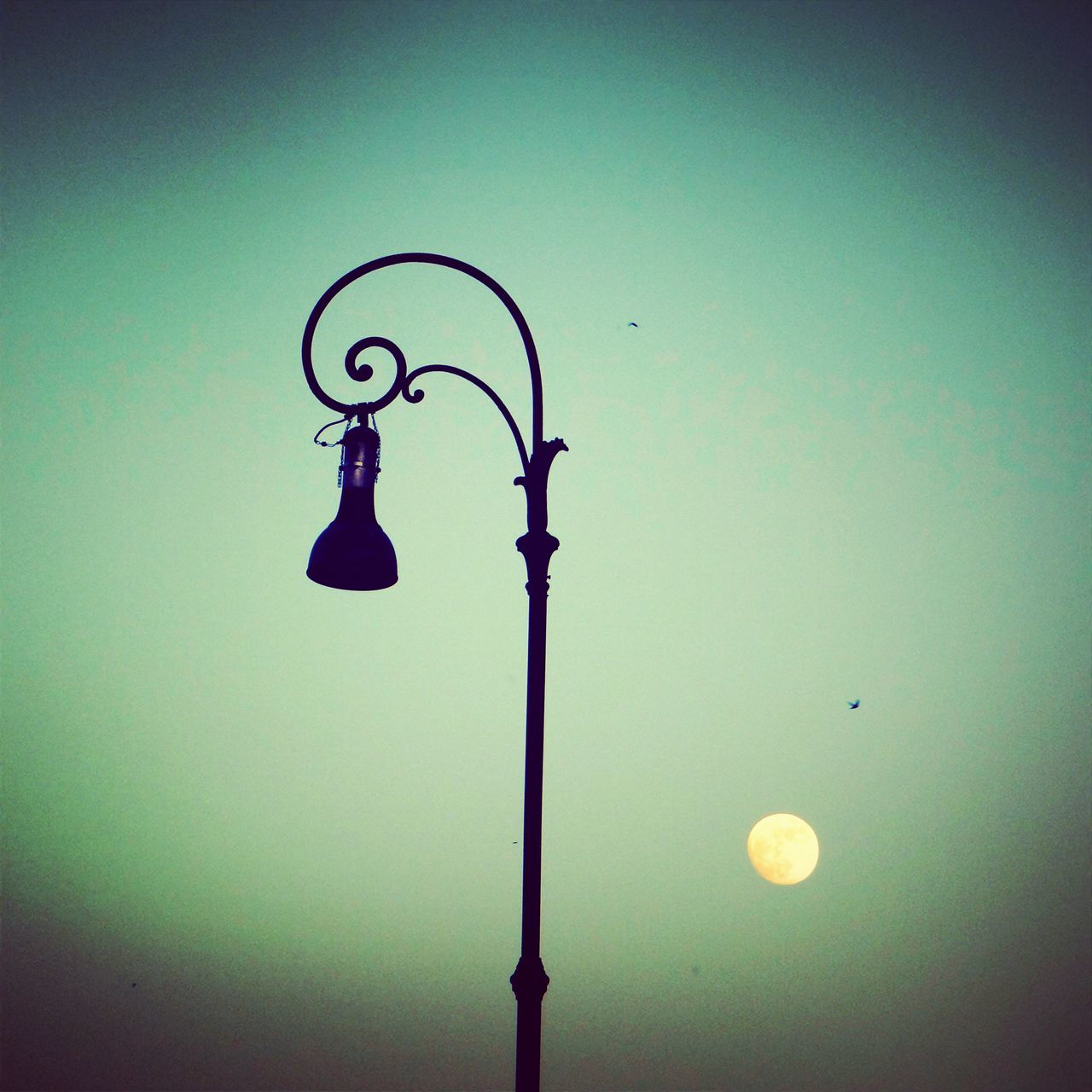 Streetlamp