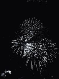 Low angle view of firework display at night