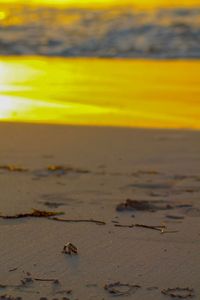 Scenic view of beach during sunset