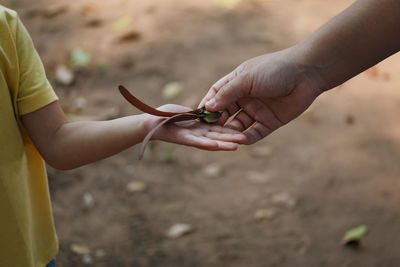Cropped hand of woman giving bud to son on field