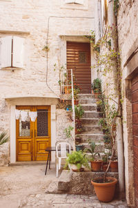 Potted plants outside building