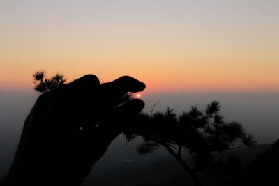 Silhouette hand against sky during sunset