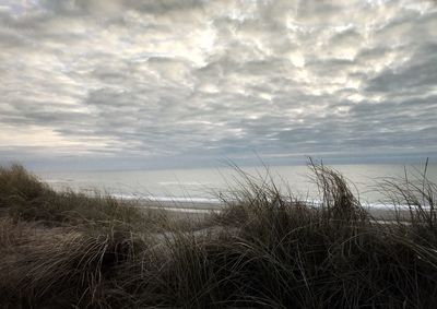 Scenic view of beach against sky