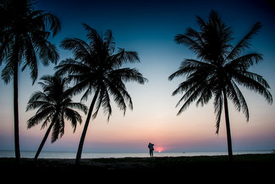 Silhouette of palm trees at sunset