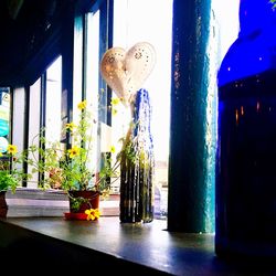 Potted plants on window sill