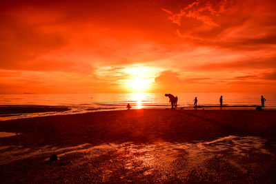 Scenic view of beach during sunset