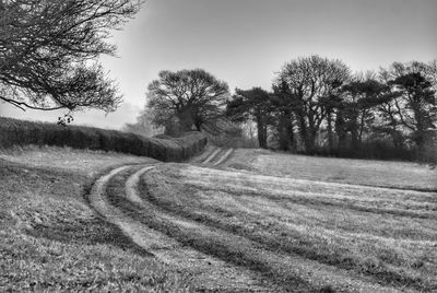 Road by trees on field against sky