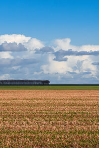Scenic view of agricultural field against sky