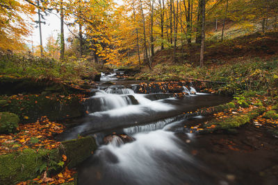 Bystra river with small waterfalls in untouched nature in autumn. celadna, beskydy mountains