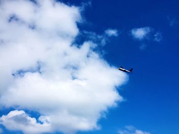 Low angle view of airplane flying in sky