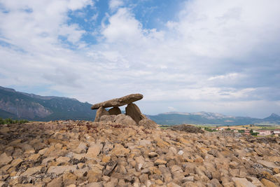 View of lizard on rock against sky