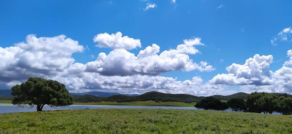 Scenic view of field against sky