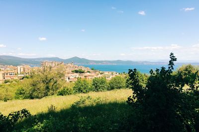 Grassy field by city and sea against sky