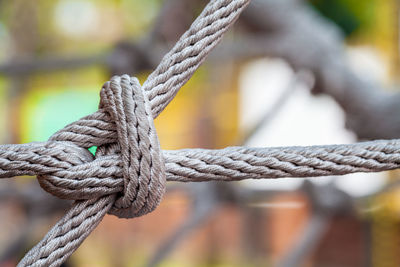 Close-up of tied ropes