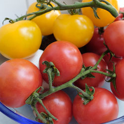 Close-up of tomatoes